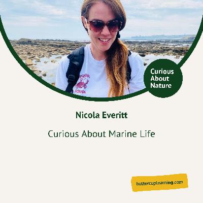 Curious About Marine Life