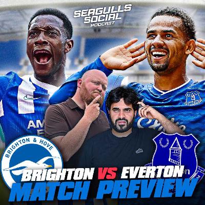 Can Brighton Break Down Economic Everton At The Amex? | Brighton vs Everton | MATCH PREVIEW