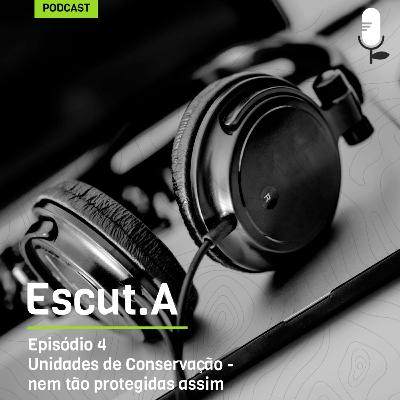 Unidades de conservação - Nem tão protegidas assim