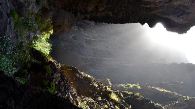 To See the Hidden Light