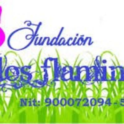 A cuáles servicios educativos puedo acceder si mi hijo o hija jamás ha estado escolarizado.