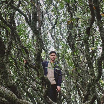 WOTP #126 - KOL (aka Jeff Kolhede) WOTP #126 - KOL (aka Jeff Kolhede)