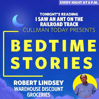 Bedtime Stories – Robert Lindsey reads I Saw An Ant On The Railroad Track