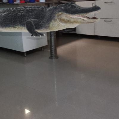 Crocus the Crocodile