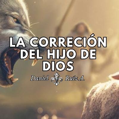 LA CORRECCIÓN DE LOS HIJOS DE DIOS. Daniel Ruíz A.