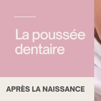 La poussée dentaire chez le bébé La poussée dentaire chez le bébé