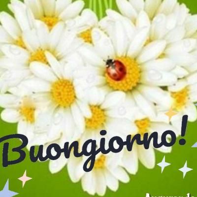Libertà e baci Libertà e baci