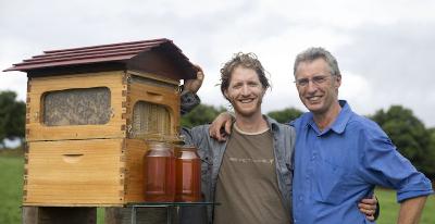 A Solution to Harvesting Honey A Solution to Harvesting Honey