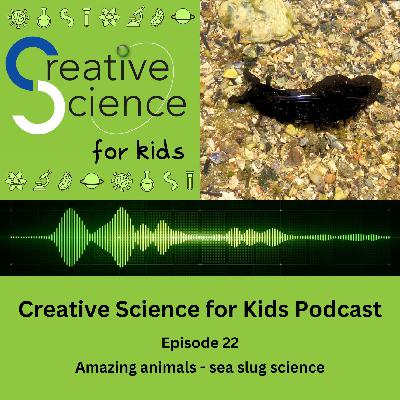 Amazing animals - sea slug science