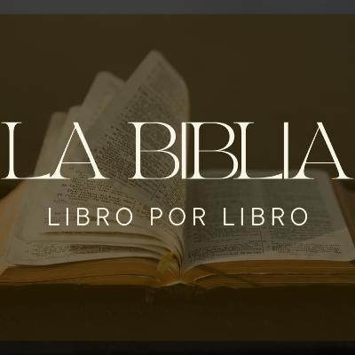 Un vistazo general a la Biblia