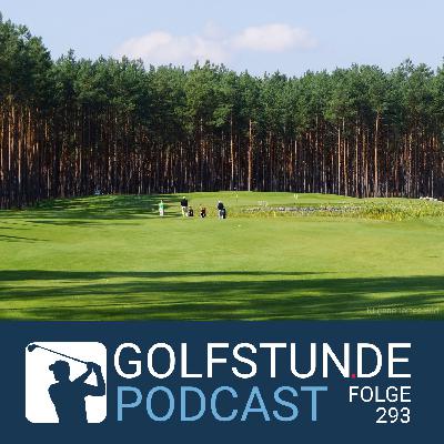 #293 Durchspielen lassen