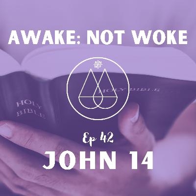 42: John 14 - Mostly John 14:6, Esoteric Breakdown, "I Am" is The Way, The Truth, and The Life, My Father Has Many Mansion, Bible Out Of Context, Biblical Astrology, Duality, & More! 42: John 14 - Mostly John 14:6, Esoteric Breakdown, "I Am" is The Way, The Truth, and The Life, My Father Has Many Mansion, Bible Out Of Context, Biblical Astrology, Duality, & More!
