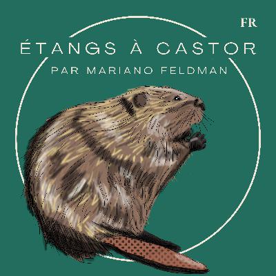 Les étangs à castor par Mariano Feldman