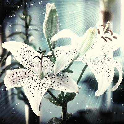 Obtaining Supernatural Abundance