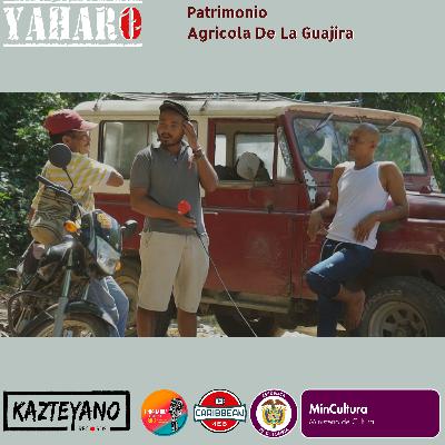 Proyecto Yaharo - Capítulo 2 San Salvador