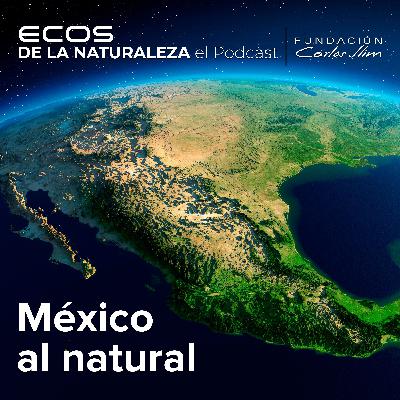 México al natural: Episode #1