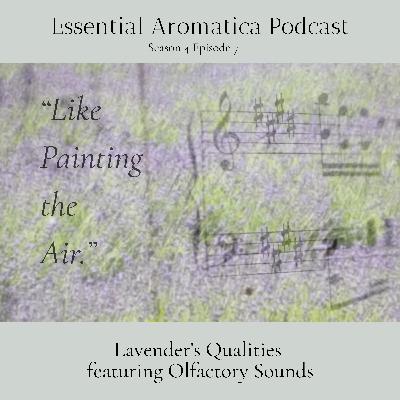 Lavender's Qualities featuring Olfactory Sounds