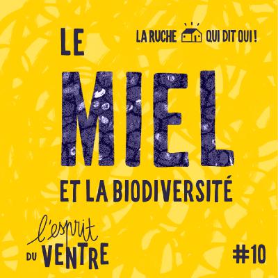 L'Esprit du ventre, le miel : plaisir coupable ? - épisode 10, table-ronde