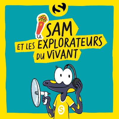 Episode 1 : Pourquoi les rivières font des zigzags ?