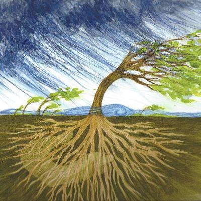 Spiritual Root