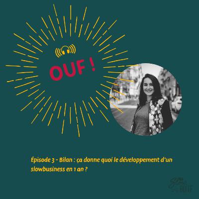 #3 - Bilan : ça donne quoi le développement d'un slowbusiness en 1 an ? #3 - Bilan : ça donne quoi le développement d'un slowbusiness en 1 an ?