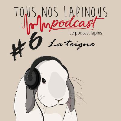Podcast TNL #6 La teigne chez le lapin Podcast TNL #6 La teigne chez le lapin