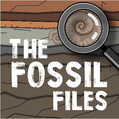 Introducing the Fossil Files