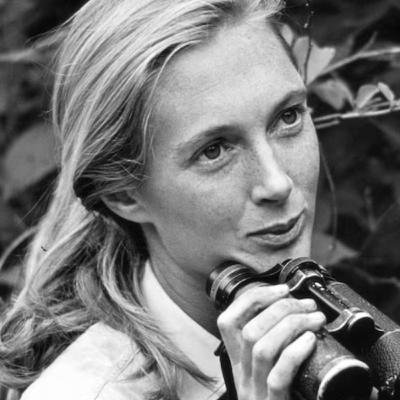 QF53: Jane Goodall And An Example Of Her Impact On People