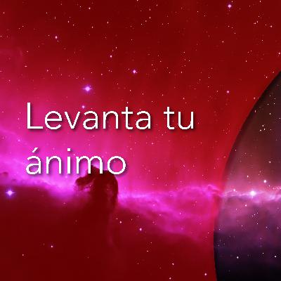 Levanta tu ánimo
