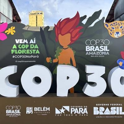 AI both a help and hindrance to world's environmental challenges