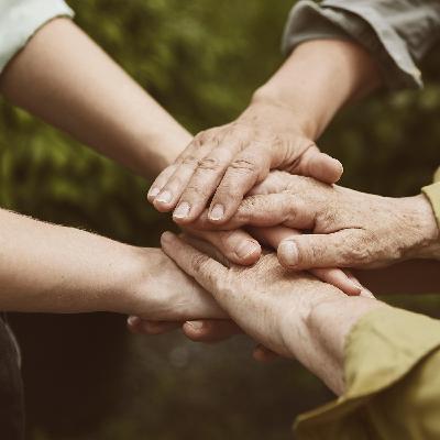 Schuld statt Scham: Wie prosoziales Handeln gefördert wird
