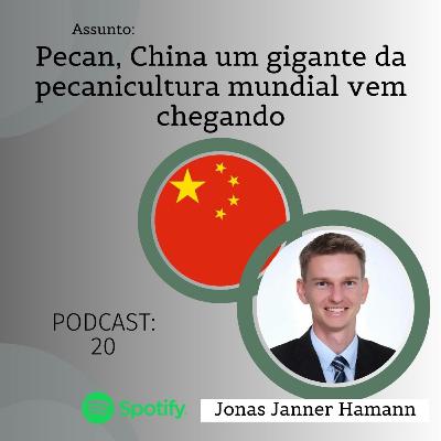 20 - Pecan, China um gigante da pecanicultura mundial vem chegando