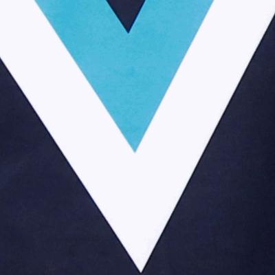 Port Adelaide - Dunny's AFL Fantasy Picks