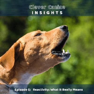 Reactivity: What It Really Means and How to Address It