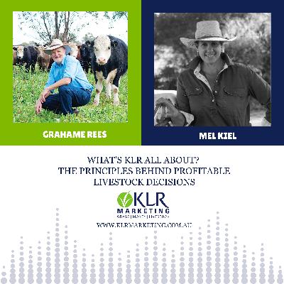 What's KLR All About? The Principles Behind Profitable Livestock Decisions ~ Mel Kiel and Grahame Rees What's KLR All About? The Principles Behind Profitable Livestock Decisions ~ Mel Kiel and Grahame Rees