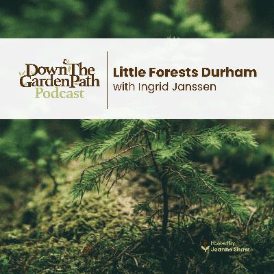 Little Forests Durham with Ingrid Janssen