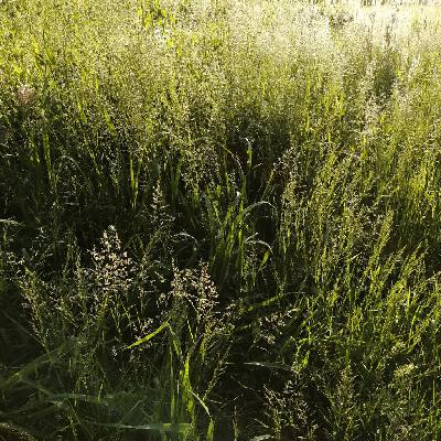 2020年6月2日「歴史を自分ごとにする」 from Radiotalk