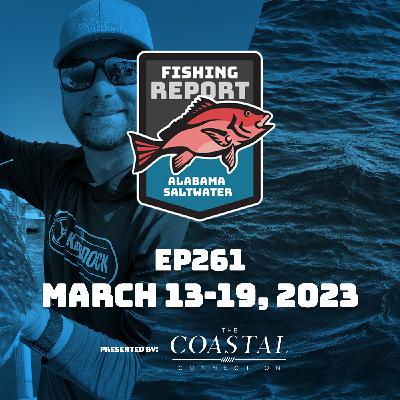 #14 Primeiro Trio de Arbitragem 100% Feminino no Top 12 #14 Primeiro Trio de Arbitragem 100% Feminino no Top 12