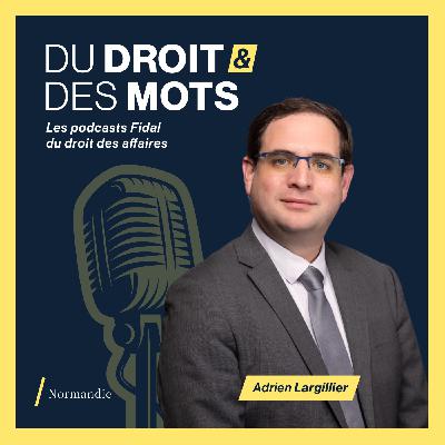 URSSAF, Déclaration Sociale Nominative, redressement : et si une erreur vous coûtait cher ?