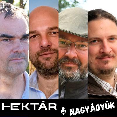 Precíziós zsákutca, élményszerű sávművelés, kiszáradt halastó, direktvetési kísérlet - HEKTÁR Nagyágyúk (11. rész)