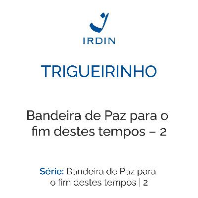 Bandeira de Paz para o fim destes tempos – 2