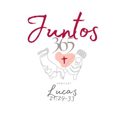 28 de Diciembre. Leer las señales antes de que sea tarde
