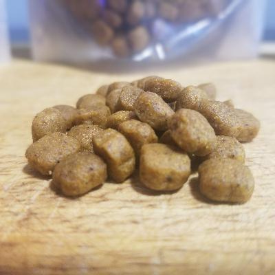 LavoieAnimal Podcast #10 Croquettes