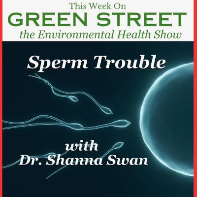 Sperm Trouble with Dr. Shanna Swan