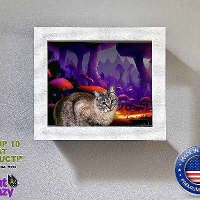Halloween Special: Transform Your Cat into a Living Meowsterpiece with Frame Your Feline