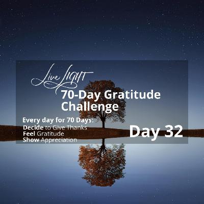 Gratitude Challenge Day 32 - Joyful Wins