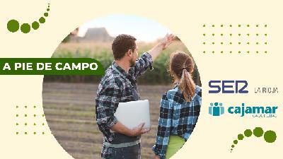 A pie de campo: frío y nieve, buenas noticias para el campo riojano A pie de campo: frío y nieve, buenas noticias para el campo riojano