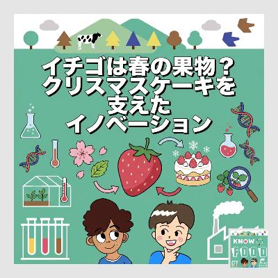 #44.イチゴは春の果物？クリスマスケーキを支えたイノベーションの歴史