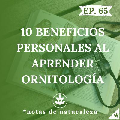 10 Beneficios personales al aprender ornitología #65