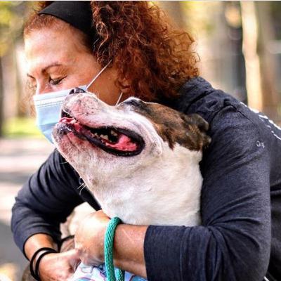 For the Love of Dogs with Terrie Kane